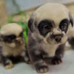 Meet your Posher, Sydney